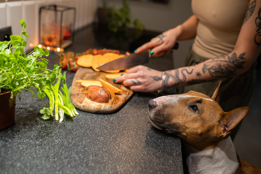 Femme avec des tatouages ​​préparant la nourriture avec un chien par Iza ?yso ?  sur 500px.com